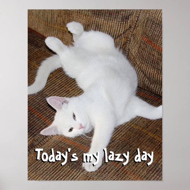 Stretching Cat - Poster (Front)