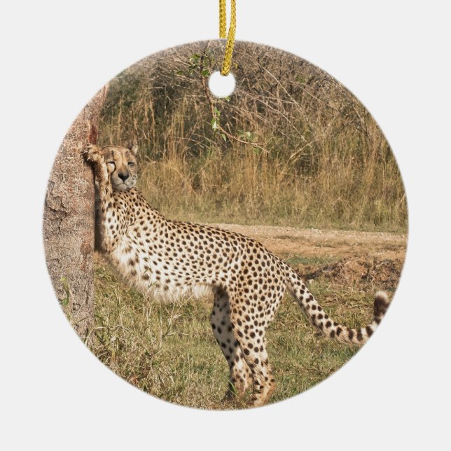 Stretching Cheetah Ceramic Ornament (Front)
