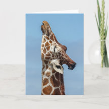 Stretching Giraffe Card