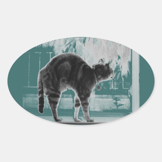 Stretching Indigo B+W Oval Sticker (Front)