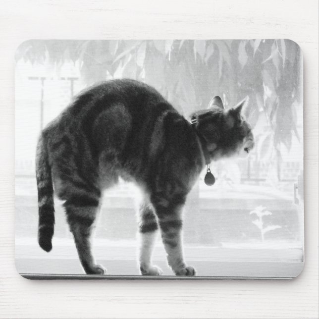 Stretching Indigo Pencil Mouse Pad (Front)