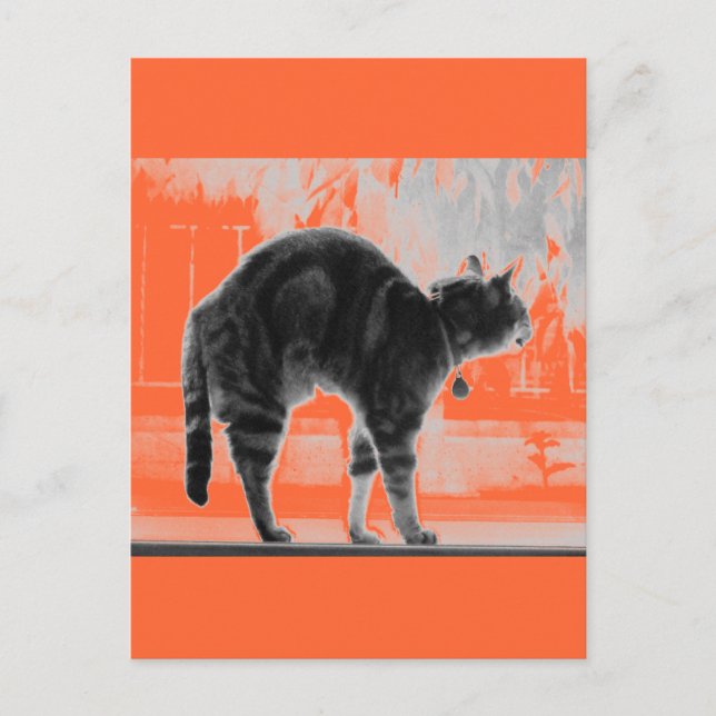 Stretching Indigo Pencil Postcard (Front)