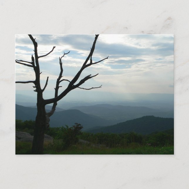Stretching Postcard (Front)
