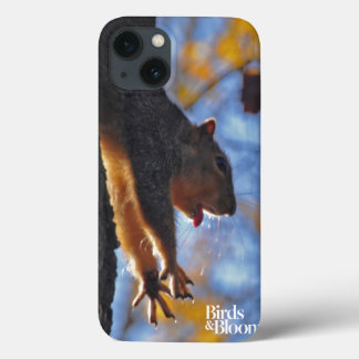 Stretching Squirrel iPhone 13 Case