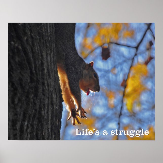 Stretching Squirrel Poster (Front)
