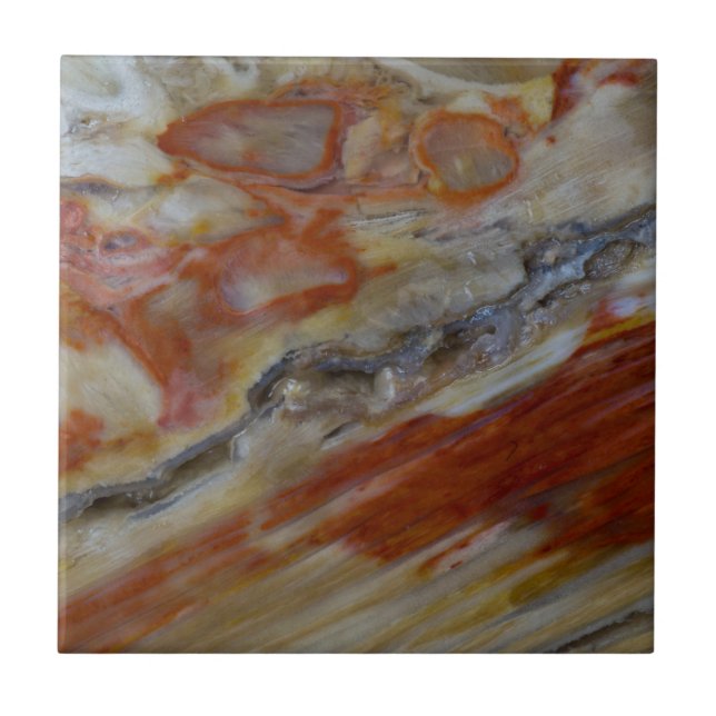 Striated Petrified Wood Ceramic Tile (Front)