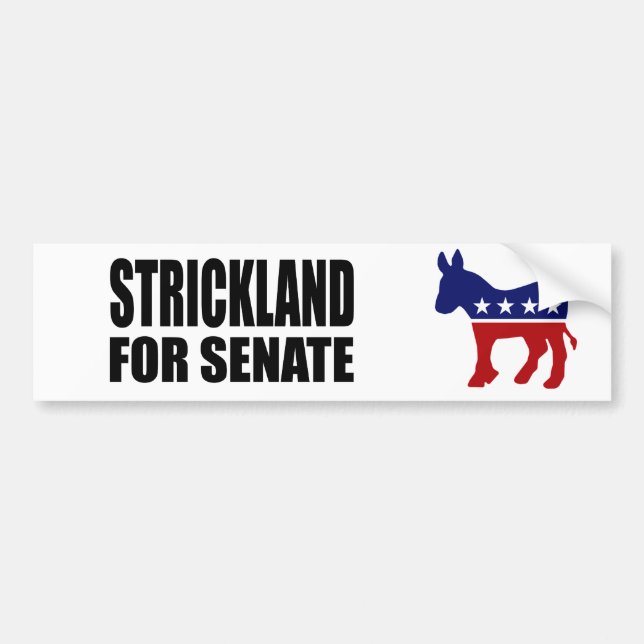 STRICKLAND 2010 BUMPER STICKER (Front)