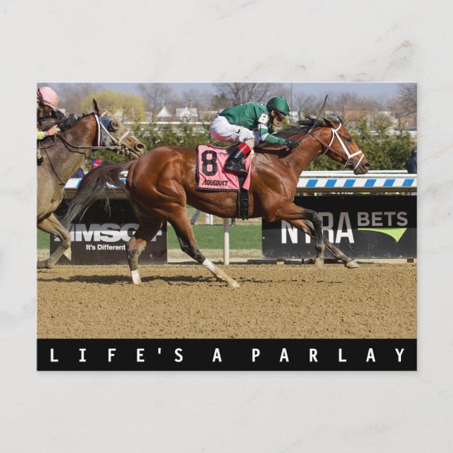 Stride for Stride Postcard (Front)