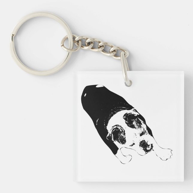 Stride Vector Dog Guides Bold Daily Travels Key Ring (Front)