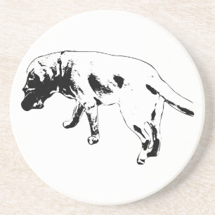 Strides & Stories Coaster