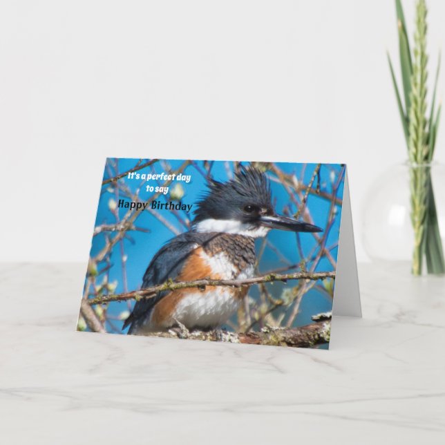 Striking Bird Pose Birthday Card (Front)