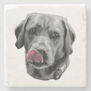 Striking Colour Accent for Artistic Tables Stone Coaster
