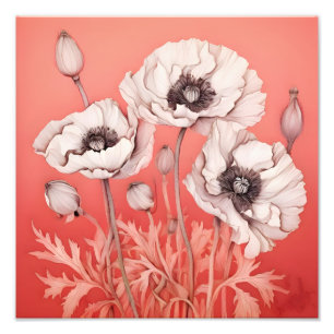 Striking Contrast: White Poppies on Red Photo Print