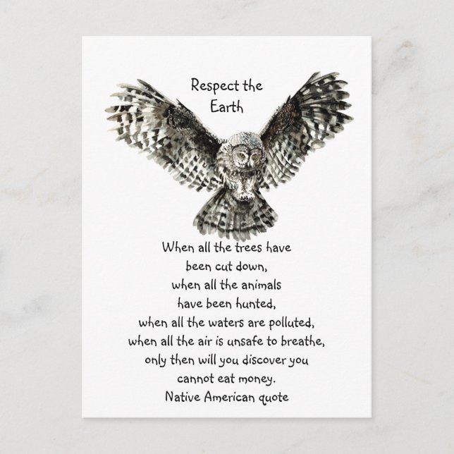 Striking Owl Respect Earth Native American Quote Postcard (Front)