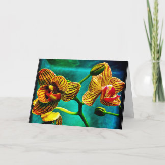 Striking Phalenopsis Orchid Blank Greeting Card
