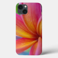 Striking Pink Tropical Plumeria Flower