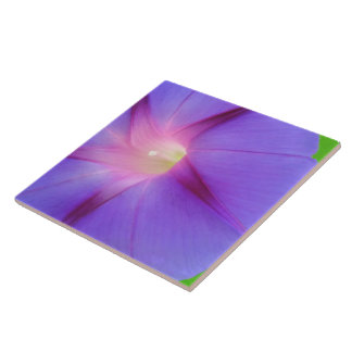 Striking Purple Floral  Ceramic Tile