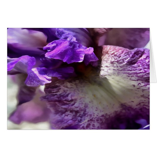 Striking Purple, Violet and Mauve Iris Abstract (Front Horizontal)