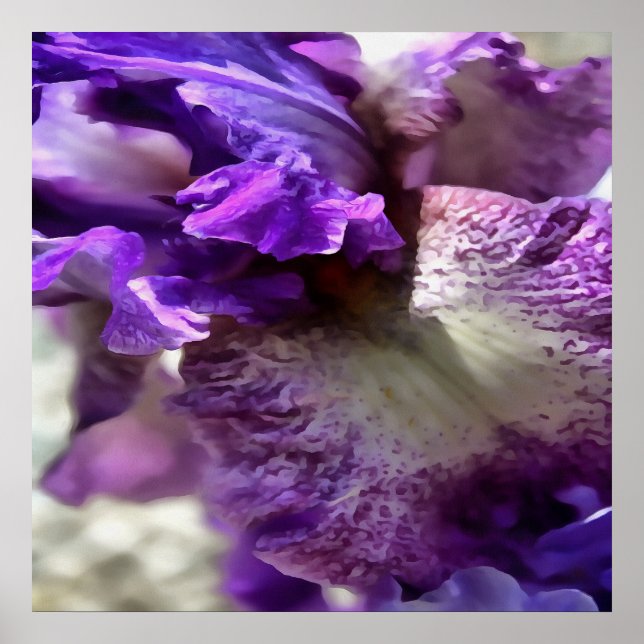 Striking Purple, Violet and Mauve Iris Abstract Poster (Front)