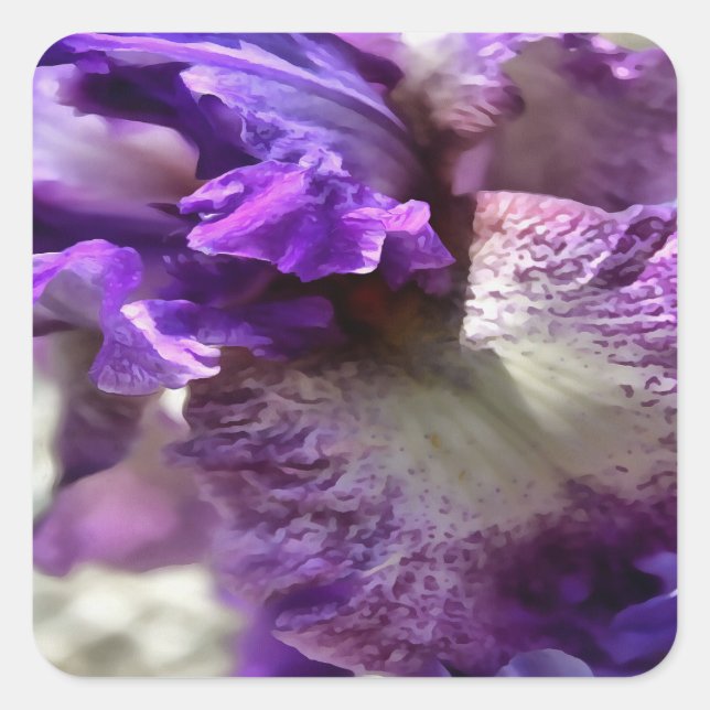 Striking Purple, Violet and Mauve Iris Abstract Square Sticker (Front)