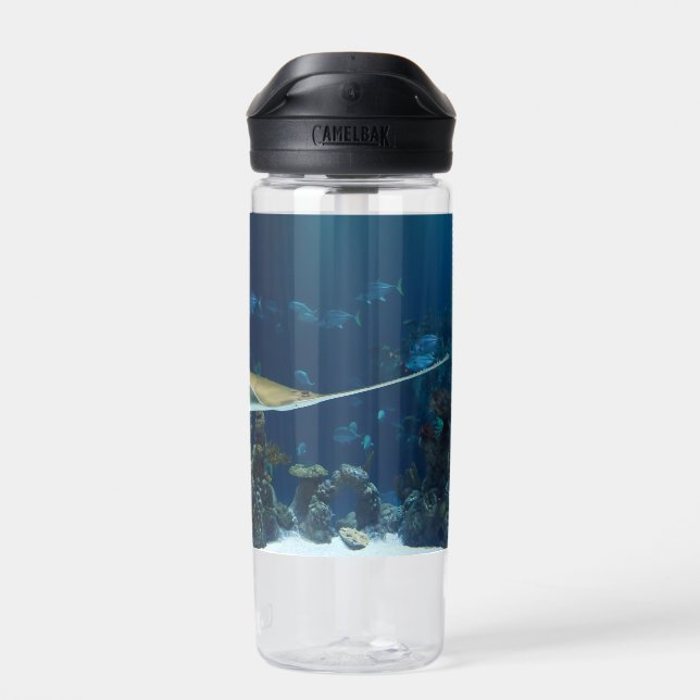 Striking Sawfish Underwater Water Bottle (Back)