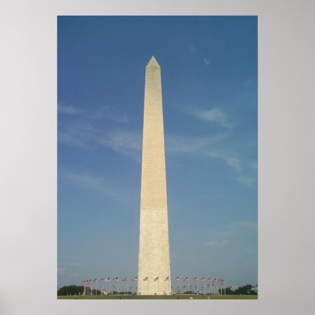 Striking Sun Contrast  Poster (Front)