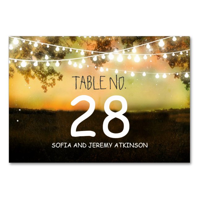 String lighs Wedding Table Number Card Place Card (Front)