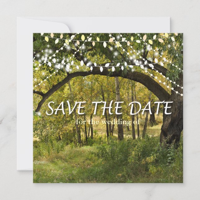 String Lights, Fireflies Save the Date Card (Front)