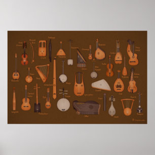 String Musical Instruments Poster
