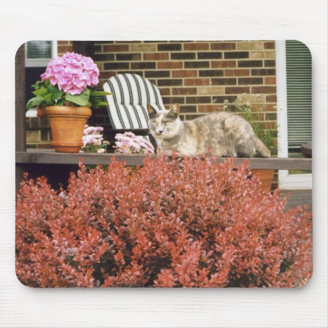 Strinka Mouse Pad (Front)