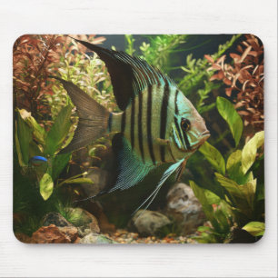 Striped altum angelfish mouse pad