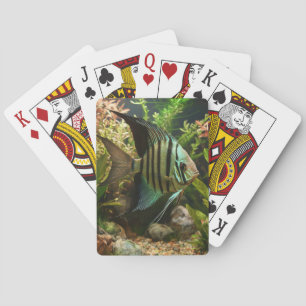 Striped altum angelfish playing cards