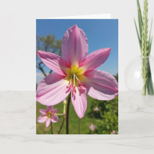Striped Anther Floral Card