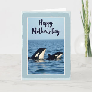 Striped Aquatic Family Card