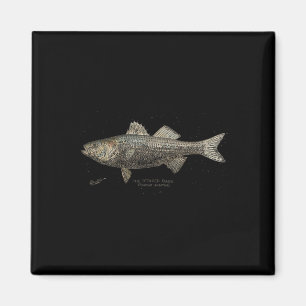 Striped B Fishing  Magnet