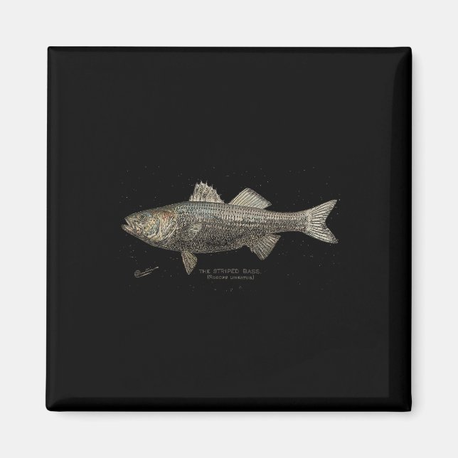 Striped B Fishing  Magnet (Front)