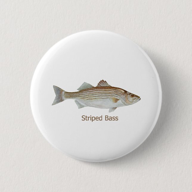 Striped Bass Art (titled) 6 Cm Round Badge (Front)