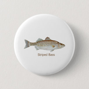 Striped Bass Art (titled) 6 Cm Round Badge