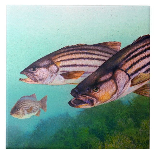 Striped Bass Atlantic Striper Ceramic Tile (Front)