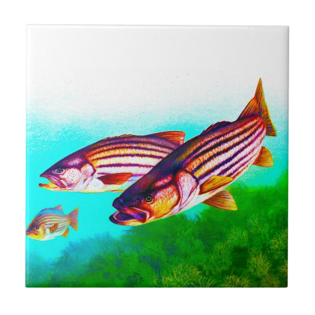 Striped Bass Atlantic Striper Ceramic Tile (Front)