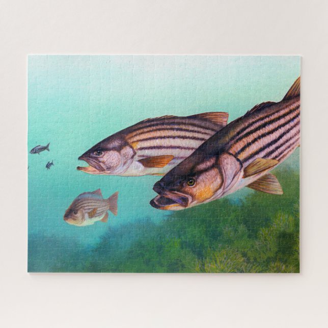 Striped Bass Jigsaw Puzzle (Horizontal)