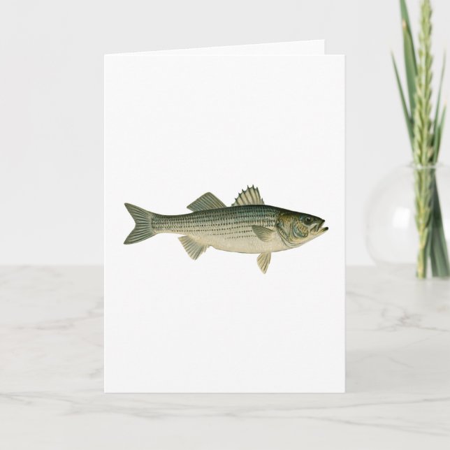 Striped Bass Logo Card (Front)