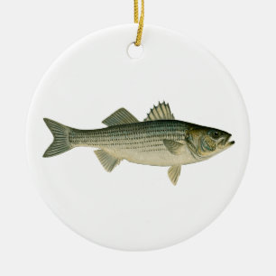 Striped Bass Logo Ceramic Tree Decoration