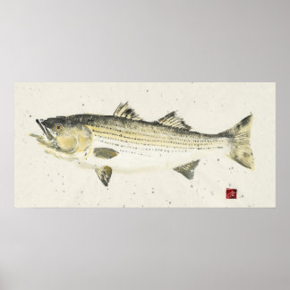 Striped Bass/ Speckled paper Poster