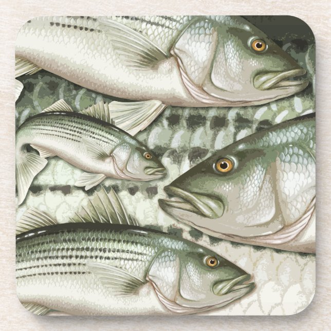 Striped Bass (Striper) Coasters (Front)