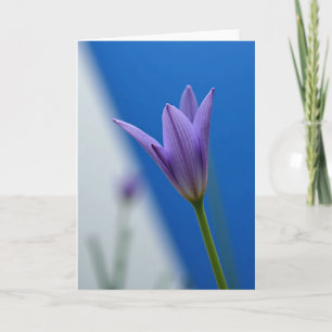 Striped Bloom Floral Card