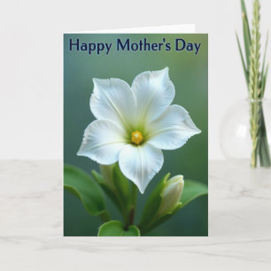 Striped Blossom Message Card