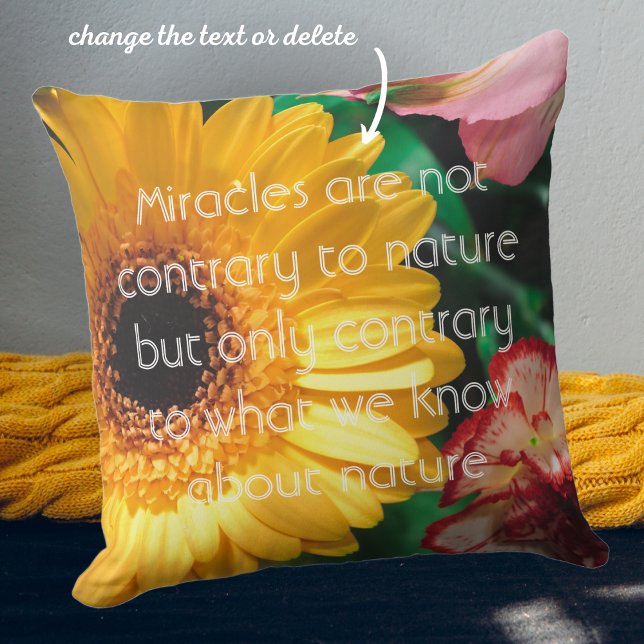 Striped carnations and gerbera cushion (Creator Uploaded)