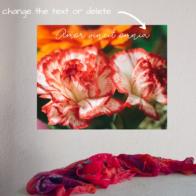 Striped carnations and gerbera poster (Creator Uploaded)