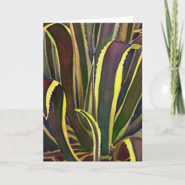 Striped century plant notecard (Front)
